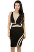 Mesh Patchwork Black Sleeveless Bodycon Dress